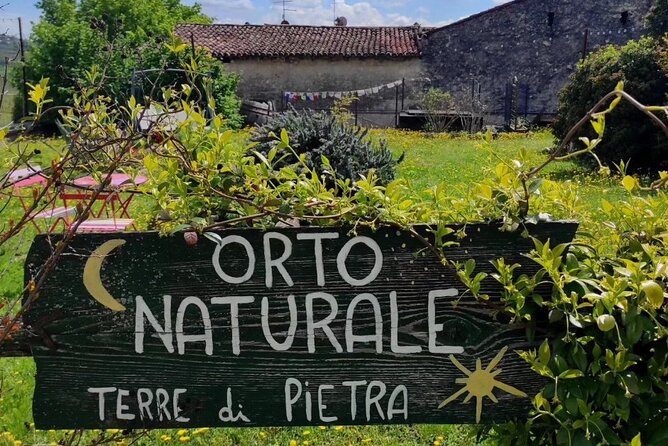 Verona - Cellar Tour and Tasting of NATURAL WINES - Meeting and Pickup Information