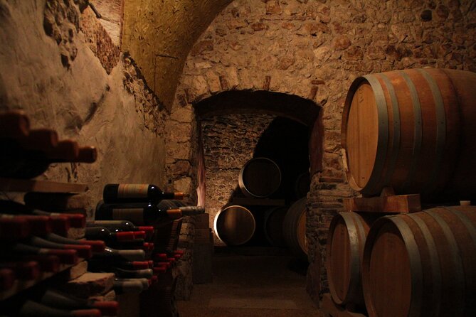 Verona - Cellar Tour and Tasting of NATURAL WINES - Reviews and Ratings