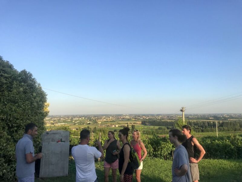 Verona: Custoza E-bike Tour - Inclusions and Requirements