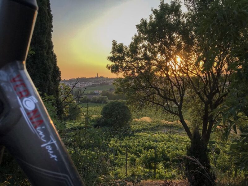 Verona: Custoza E-bike Tour - Family-Run Winery Tour