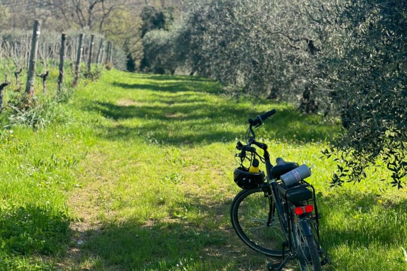 Verona: Family-Run Valpolicella and Amarone Wine Tour - Key Points
