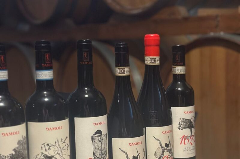 Verona: Family-Run Valpolicella and Amarone Wine Tour - Wine Tasting Experience