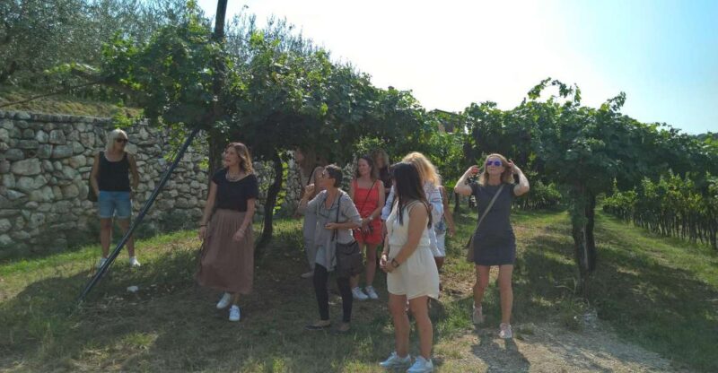 Verona: Family-Run Valpolicella and Amarone Wine Tour - Customer Reviews
