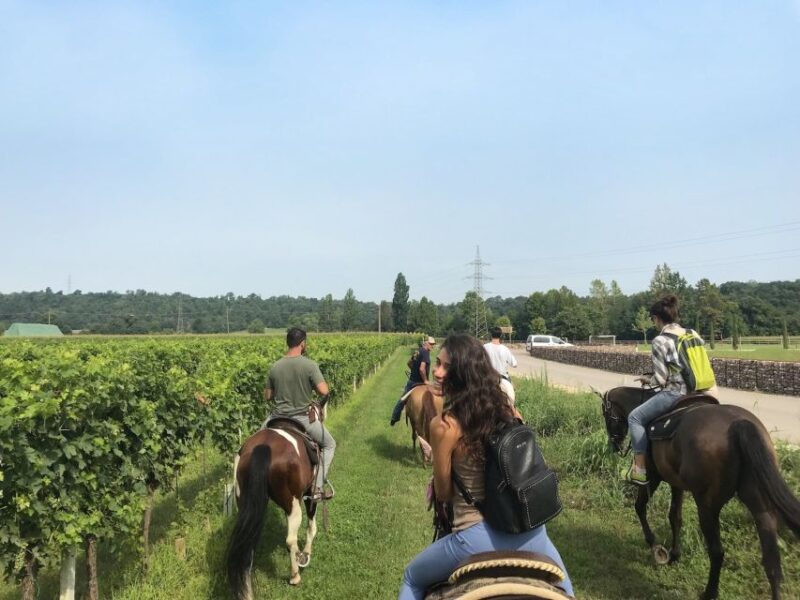 Verona: Horseback Riding and Wine Tasting Experience - Tasting the Flavors of Custoza Winery