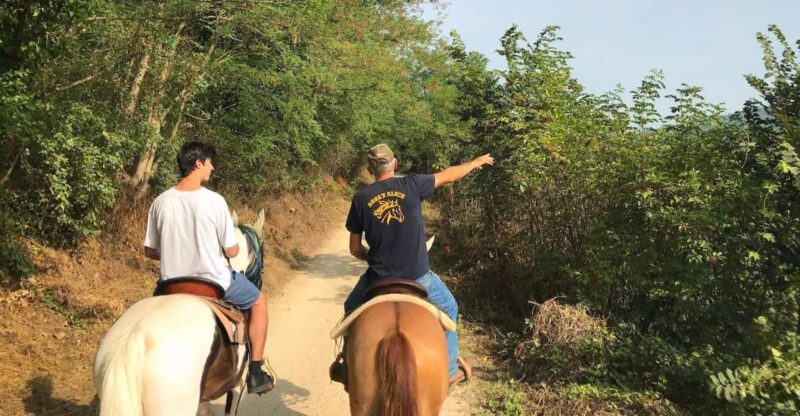 Verona: Horseback Riding and Wine Tasting Experience - Itinerary Overview: Horseback Riding and Wine