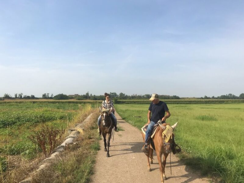 Verona: Horseback Riding and Wine Tasting Experience - Important Considerations and Restrictions