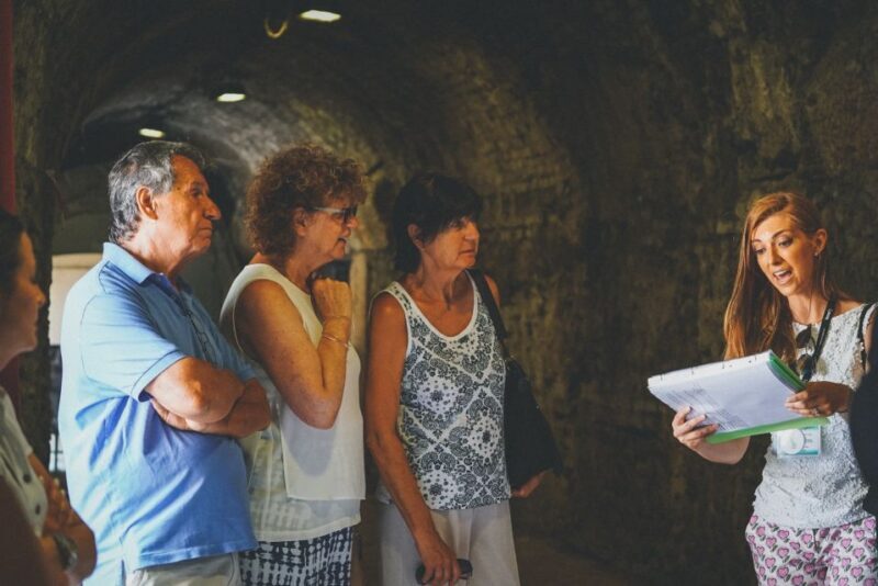 Verona: Priority Access Arena Guided Tour - Accessibility Information