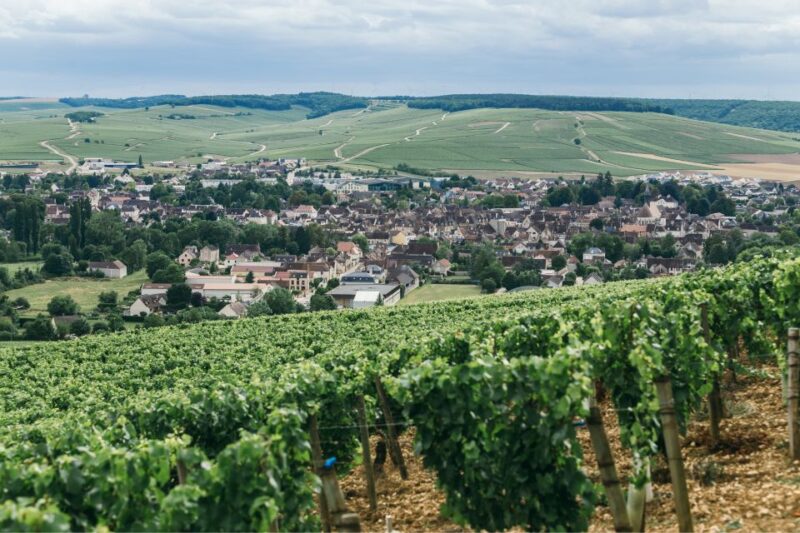 Verona: Private Tour of Soave and Amarone - Lunch Paired With Regional Wines