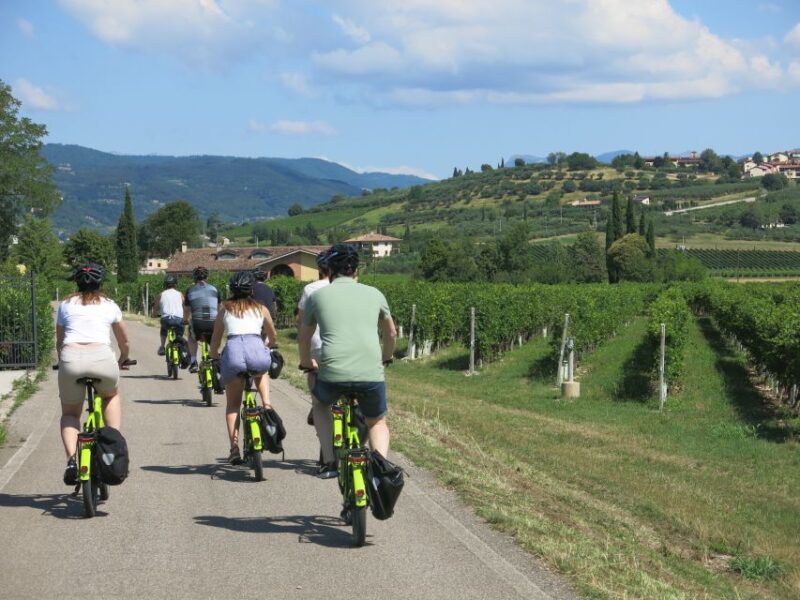 Verona: Valpolicella Wine Self-Guided E-Bike Tour & Tastings - Key Points