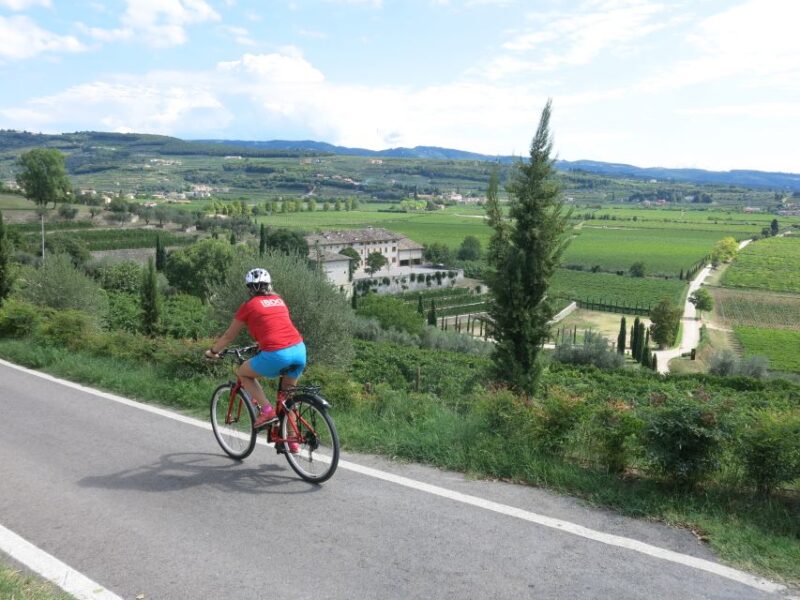 Verona: Valpolicella Wine Self-Guided E-Bike Tour & Tastings - Experience Highlights