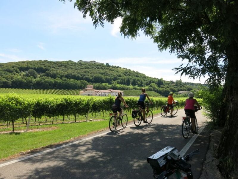 Verona: Valpolicella Wine Self-Guided E-Bike Tour & Tastings - Customer Reviews