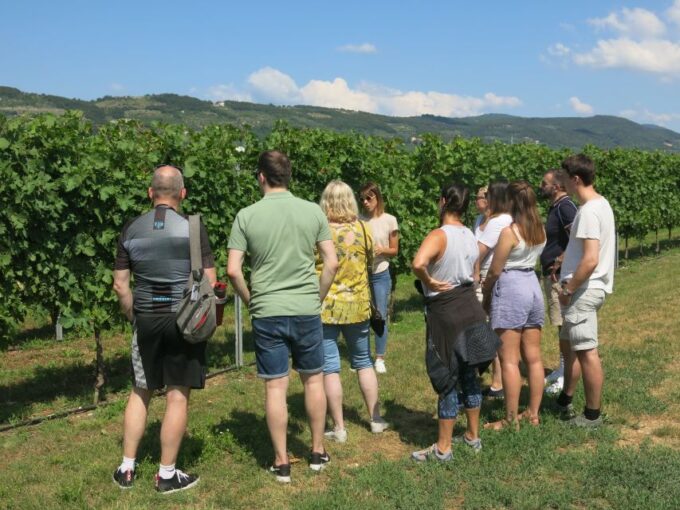 Verona: Valpolicella Wine Self-Guided E-Bike Tour & Tastings - Indulging in Local Wines