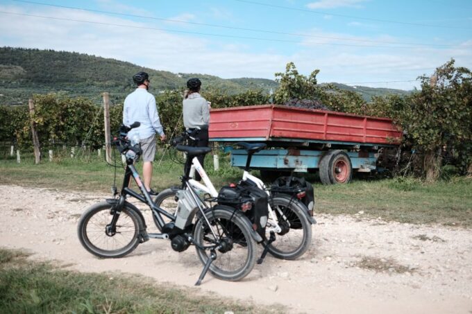 Verona: Valpolicella Wine Self-Guided E-Bike Tour & Tastings - Frequently Asked Questions