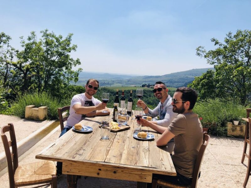 Verona: Vineyard and Winery Tour With Wine Tasting - Minimum Age and Restrictions
