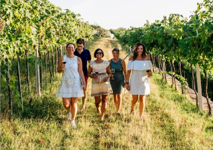 Verona: Vineyard and Winery Tour With Wine Tasting - Highlights of the Experience