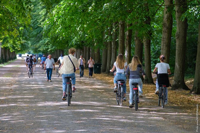 Versailles: Bike Rental, Different Sizes - Accessibility and Participation Requirements