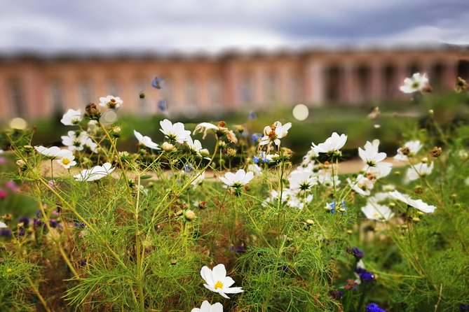 Versailles Full Day Private Guided Tour With Hotel Pickup - Pricing and Cancellation Policy