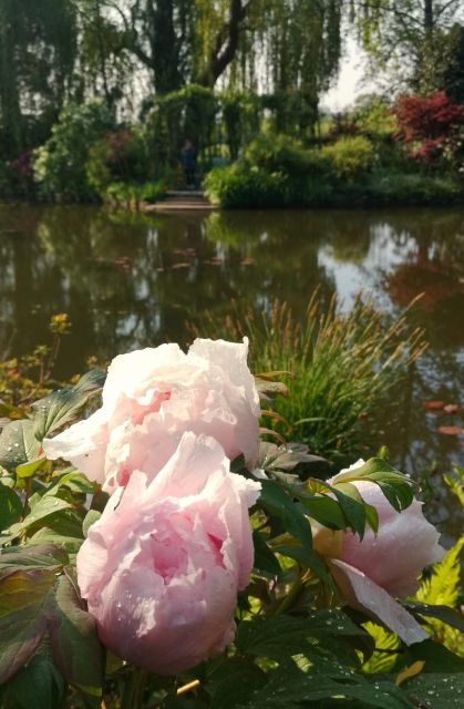 Versailles Palace and Giverny Private Guided Tour From Paris - Just The Basics