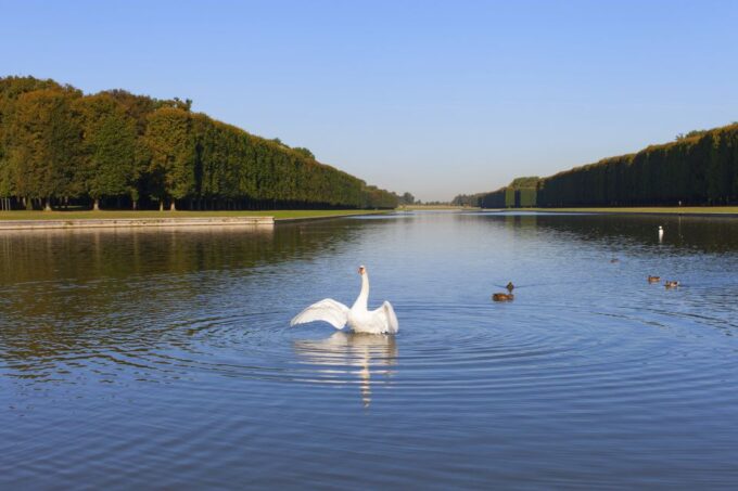 Versailles: Skip-The-Line Guided Tour of Palace With Gardens - Making the Most of Your Visit