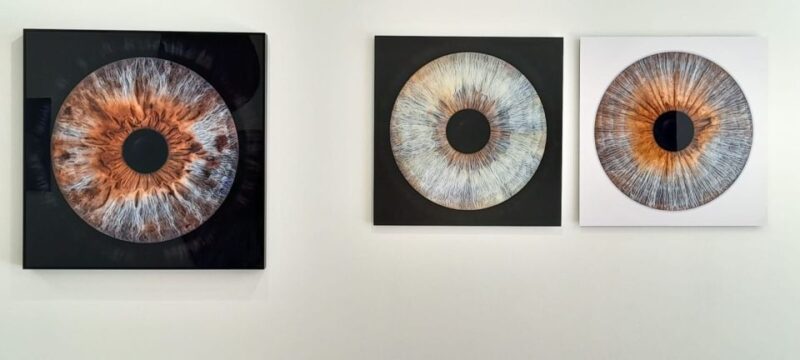 Versailles : We Create Art From Your Eyes - Iris Details, Color, and Relief