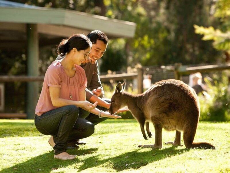 Very Best of Perth - Wildlife Park & City Highlights Tour - Wine Tasting in Swan Valley