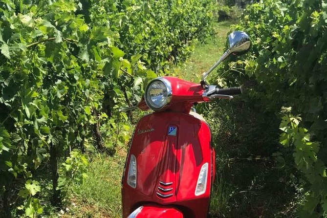 Vespa Motorcycle Rental in Florence - Pricing and Availability