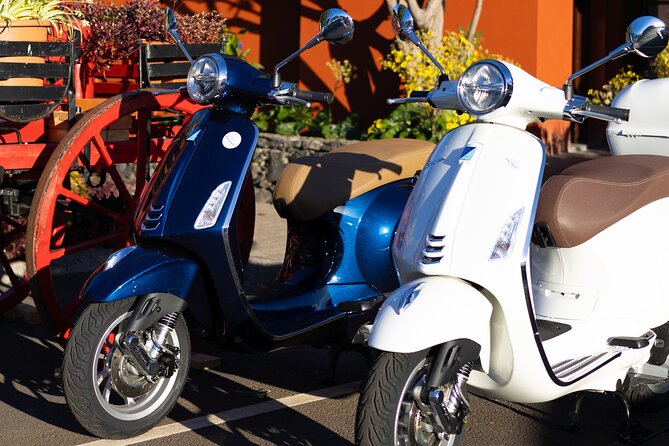 Vespa Primavera 24 Hour Rental in Madeira - Exceptional Service and Memorable Experiences