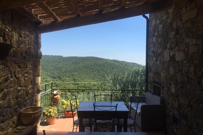 Vespa Tour in Tuscany From Florence - Tuscan Vineyard Experience