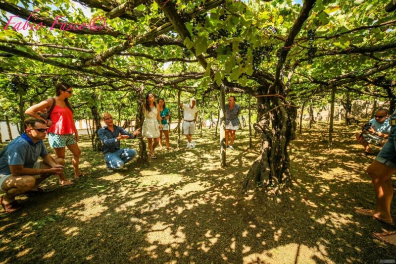 Vespa Tour: Two Romantic and Enchanting Routes in the Saddle - Cuisine and Dining Experiences