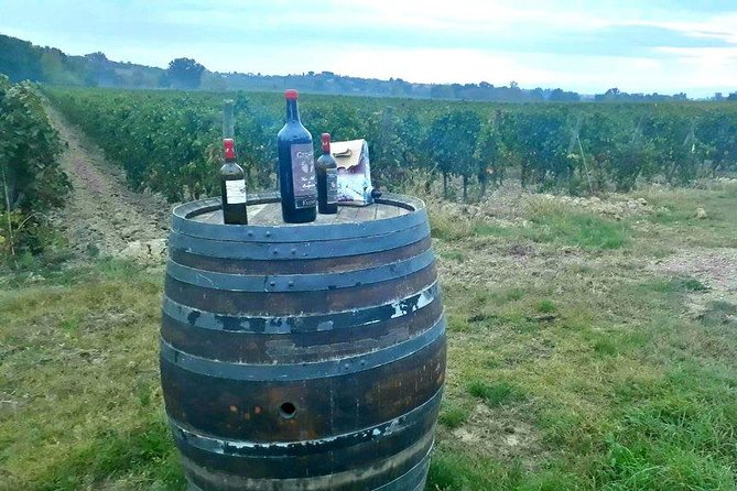 Vespa Tour With Lunch & Chianti Winery From Siena - Tour Guide and Escorts