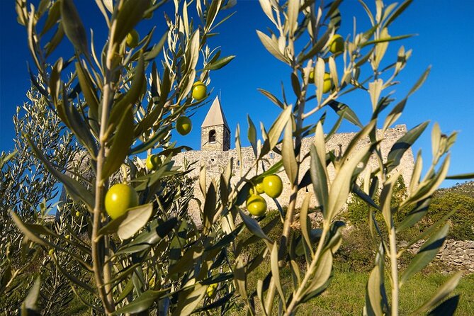 Vespa Wine Tour - Participant Requirements Explained