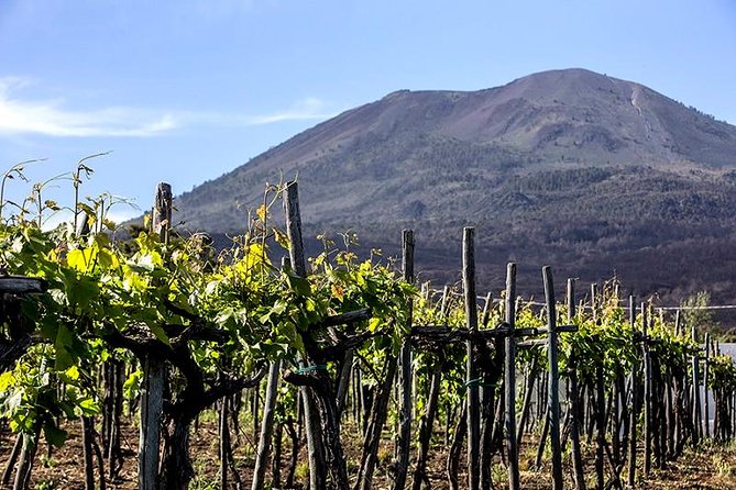 Vesuvio Gran Cono + Wine Tasting & Lunch + Transfer From Naples - Scenic Vistas and Lunch