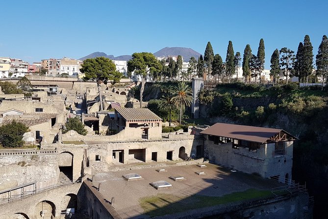Vesuvius and Herculaneum Day Trip From Naples With Skip the Line - Participant Feedback and Reviews