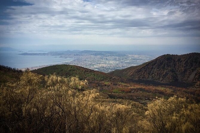 Vesuvius Drive Half Day Trip From Naples - Booking and Payment