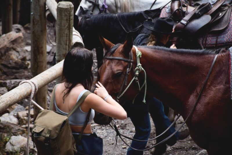 Vesuvius Horseback Riding With Tasting - Private Tour - Experience Highlights