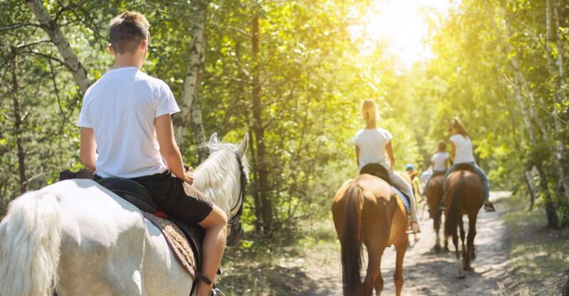Vesuvius Horseback Riding With Tasting - Private Tour - Additional Considerations