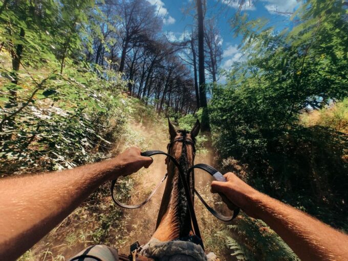 Vesuvius Horseback Riding With Tasting - Private Tour - Frequently Asked Questions