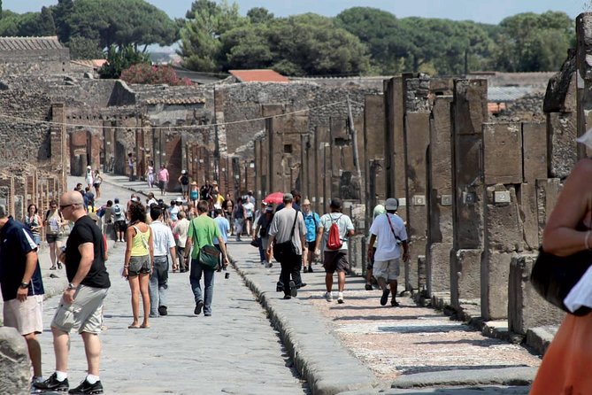 Vesuvius Pompeii Sorrento Tour - Key Points