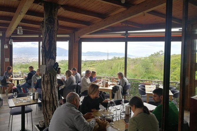 Vesuvius, Pompeii & Vesuvius Winery Shore Excursion - Pickup Information