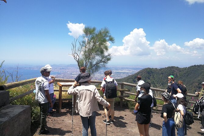 Vesuvius, Pompeii & Vesuvius Winery Shore Excursion - Booking Options