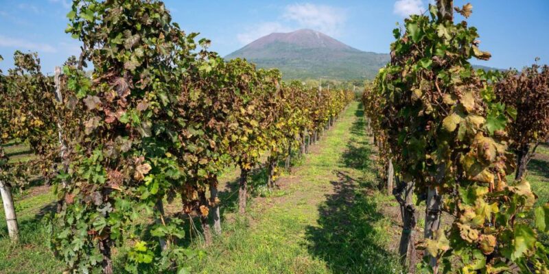 Vesuvius Valley and Pompeii With Wine Taste and Lunch by Van - Itinerary and Locations