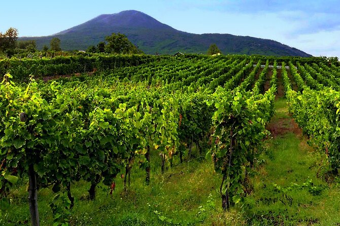 Vesuvius With Wine Tasting and Lunch Included From Naples - Frequently Asked Questions