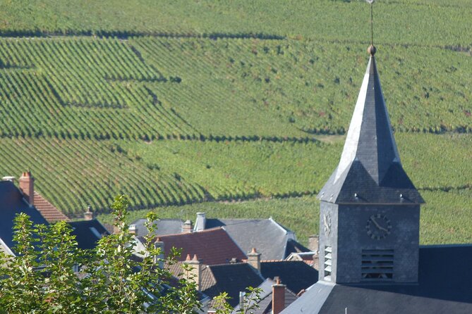 Veuve Clicquot Tasting and Fun Private Tour in Champagne - Accessibility and Flexibility for Travelers