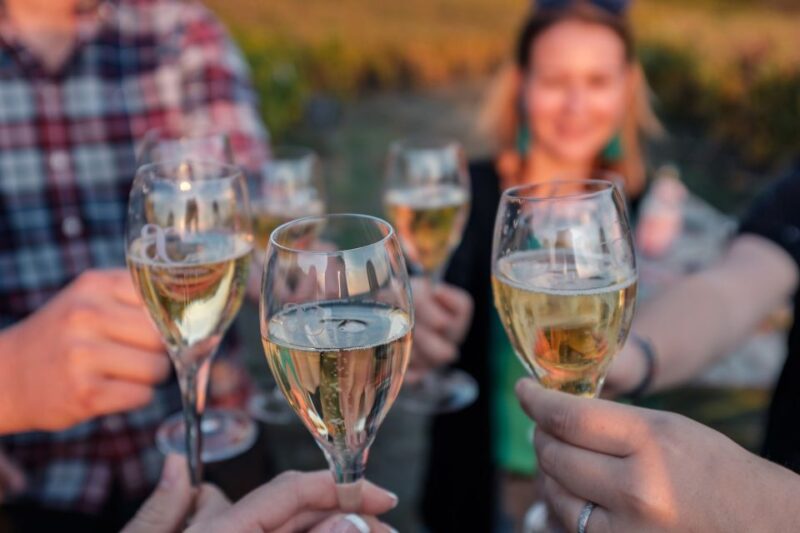 Veuve Clicquot Tasting and Fun Private Tour in Champagne - Rilly-la-Montagne Winery Visit