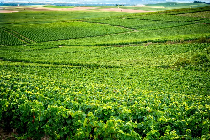 Veuve Clicquot Tour From Paris - Itinerary Highlights