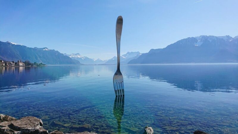 Vevey - Private Walking Tour - Tour Highlights