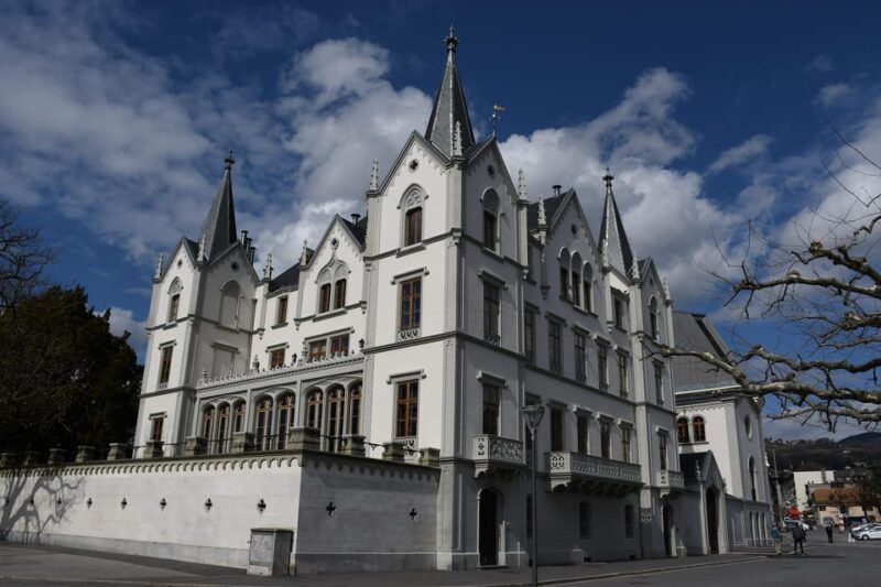 Vevey - Private Walking Tour - Discovering the Historic Old Town