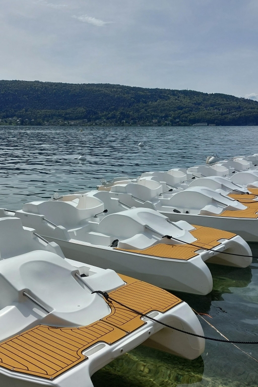 Veyrier-du-Lac: Pedal Boat Rental - Features and Amenities