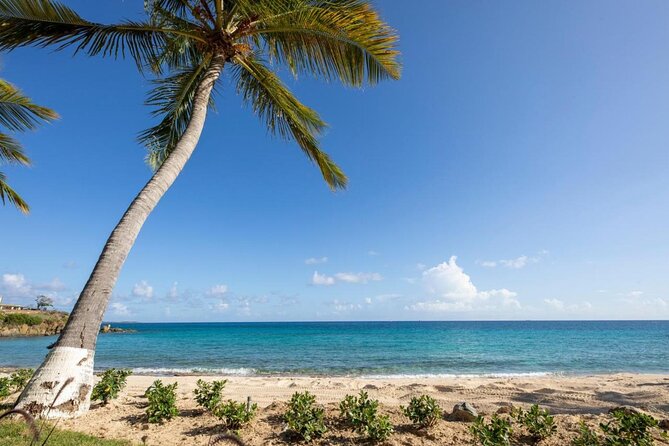 Vi Top Taxi & Tours -Airport Transfer to Bolongo Bay/ Limetree - Accessibility and Policies