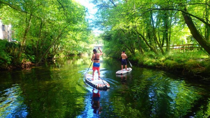 Viana Do Castelo: Vez River SUP With Transfer Options - Safety and Guidance